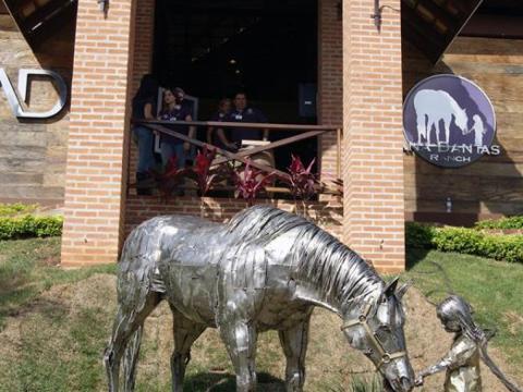 Haras Ana Dantas - Roxão Ze Vasconcellos Metal Sculptures - Ze Vasconcellos Metal Sculptures - Metal Sculptures - Campinas - São Paulo - Brasil - 2