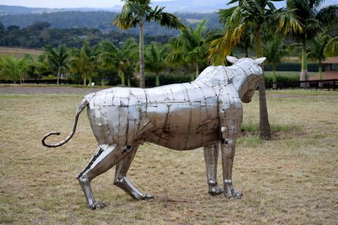  - Ze Vasconcellos Metal Sculptures - Metal Sculptures - Campinas - São Paulo - Brasil - 6