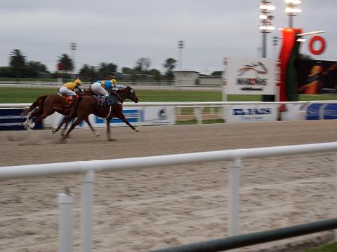 Jockey Maroñes- Montevideo Uruguay Metal Sulpture, Sculpture Steel, Escultura em Meta, Horse Metal, Ze Vasconcellos - Ze Vasconcellos Metal Sculptures - Metal Sculptures - Campinas - São Paulo - Brasil - 13