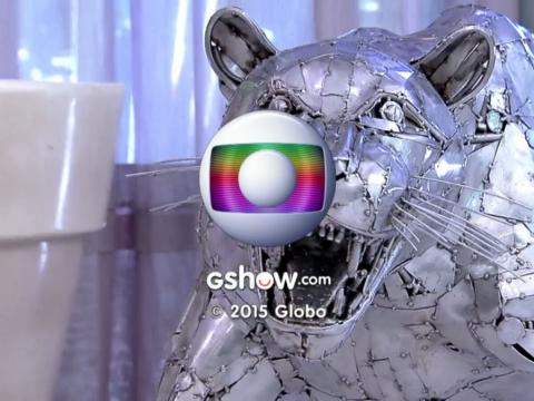 A escultura Onça no programa 